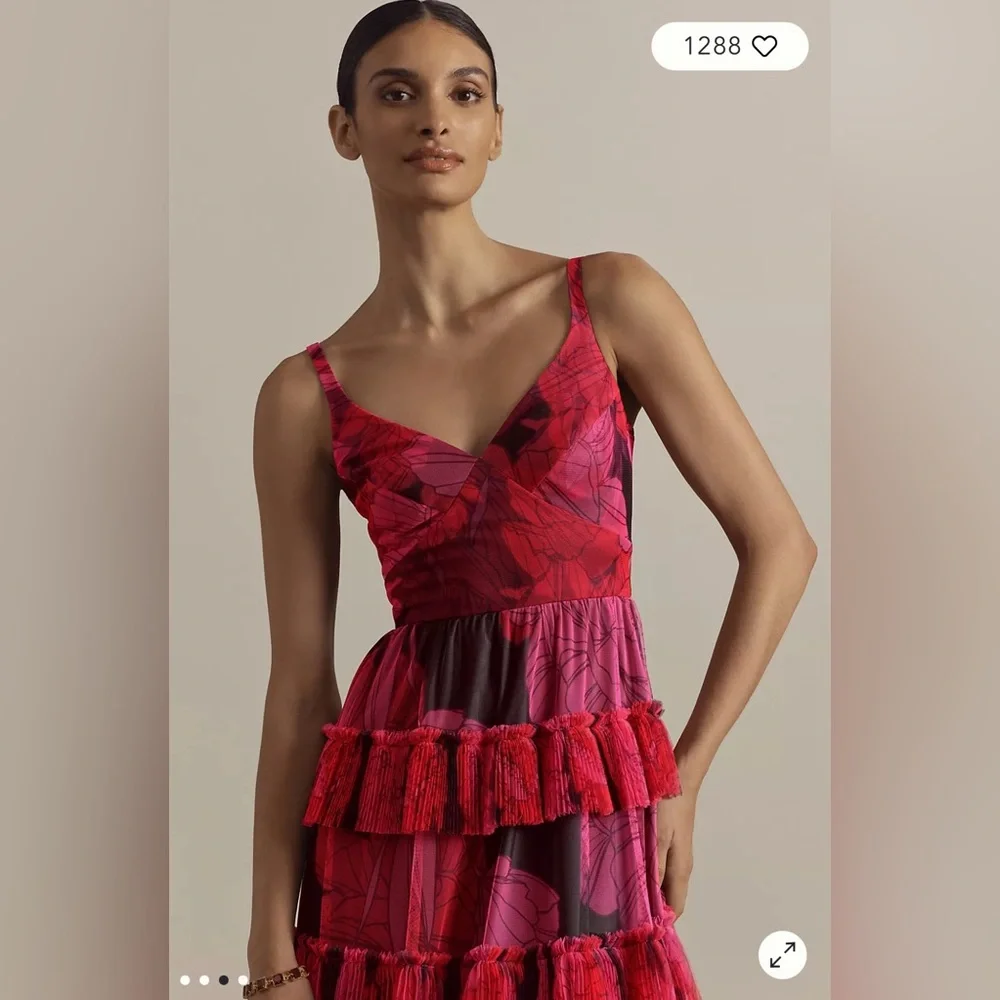 NWT Hutch Freya Sleeveless Tiered Tulle Maxi Dress - Picture 3 of 9